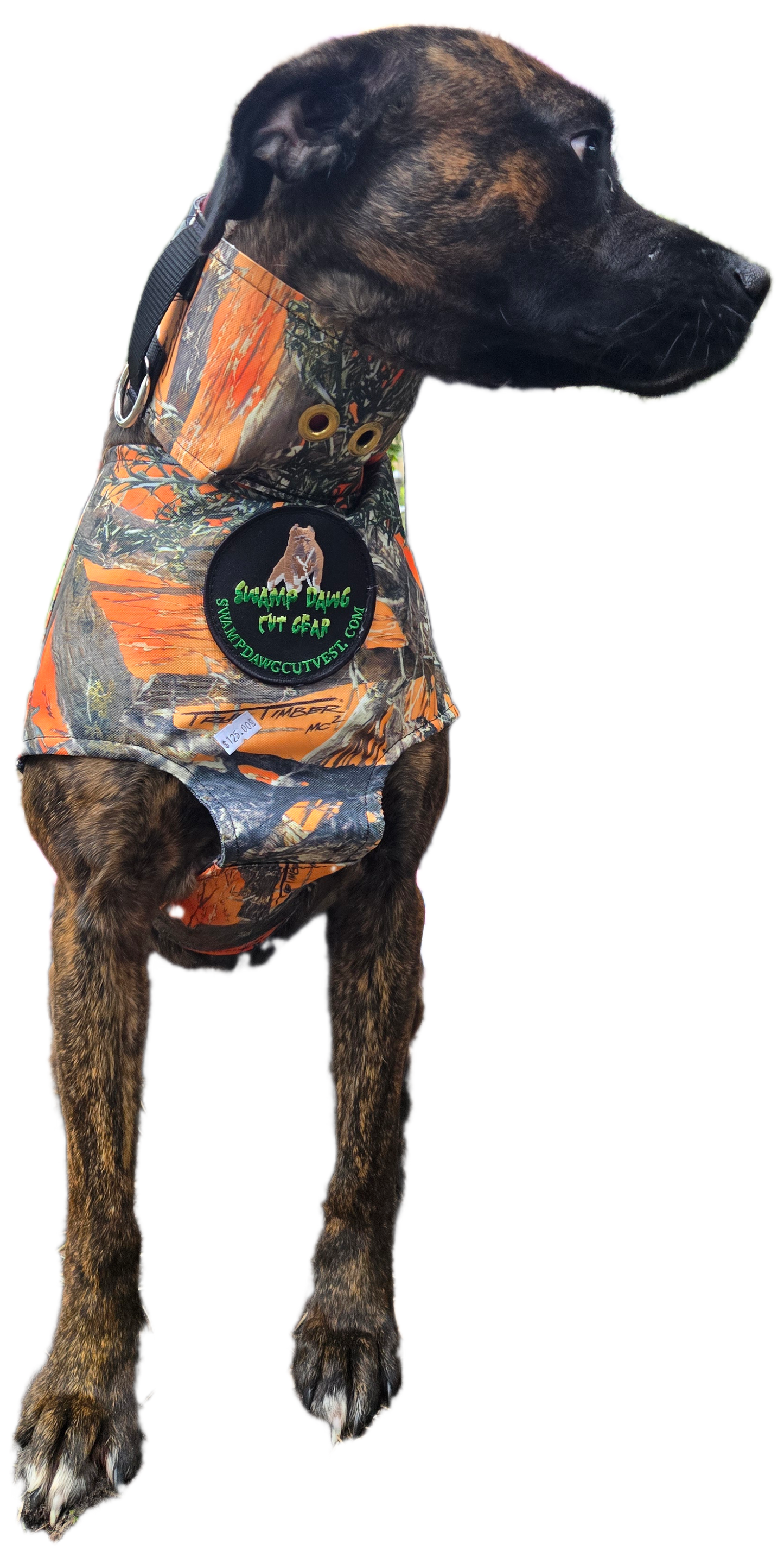 Bikini Bay Vest by Swamp Dawg Cut Gear