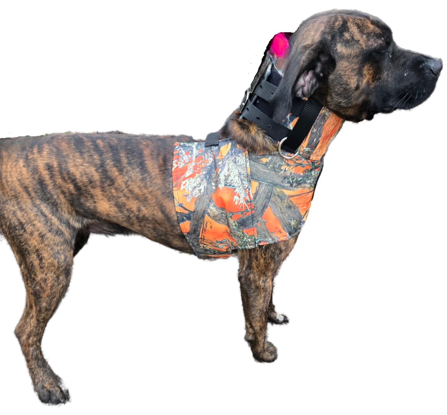 Bikini Bay Vest by Swamp Dawg Cut Gear