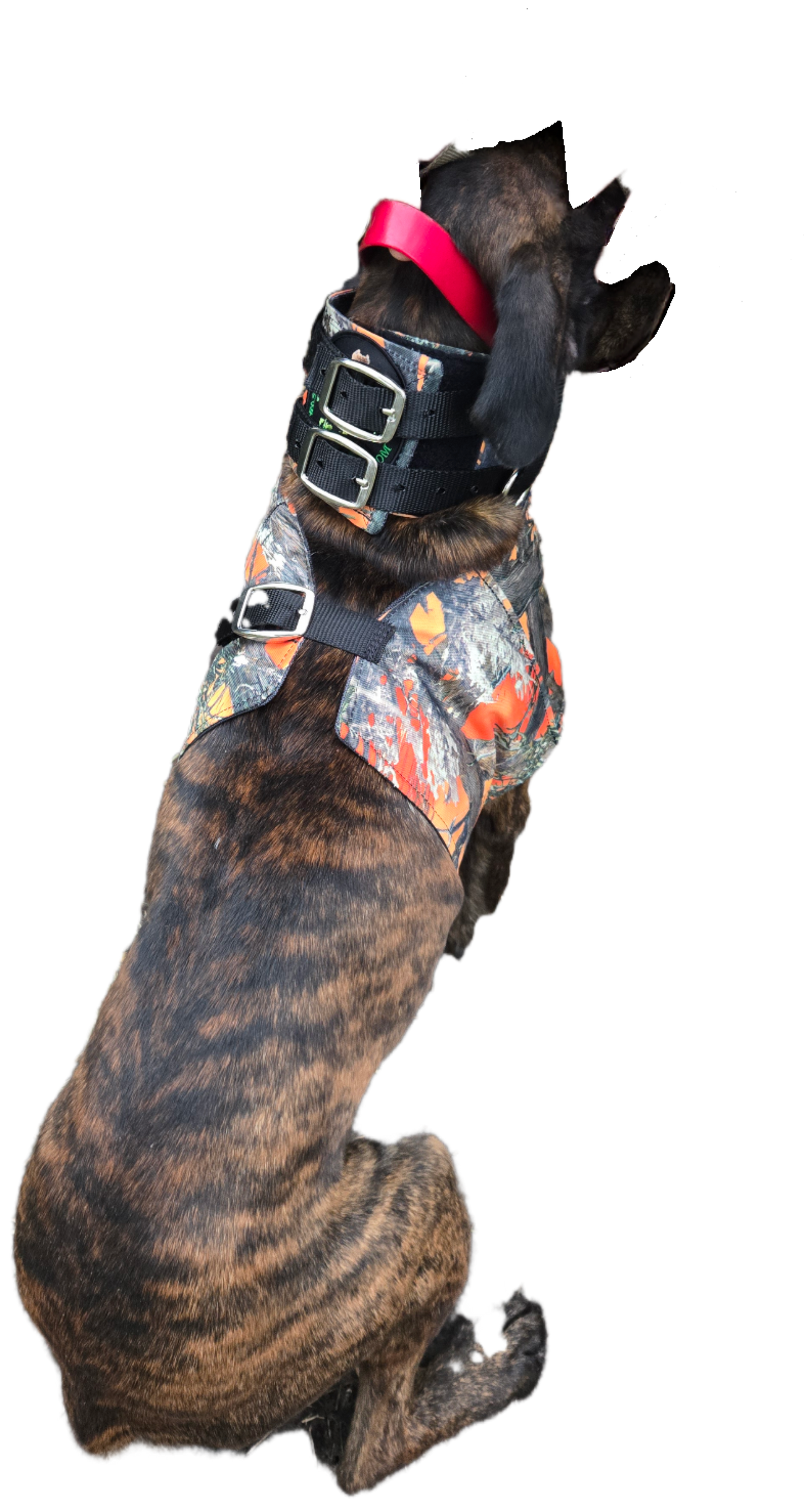 Bikini Bay Vest by Swamp Dawg Cut Gear