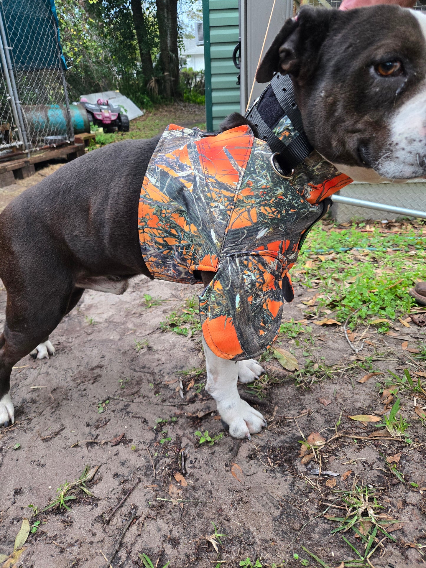 Bikini Catch Vest with Leg Flaps by Swamp Dawg