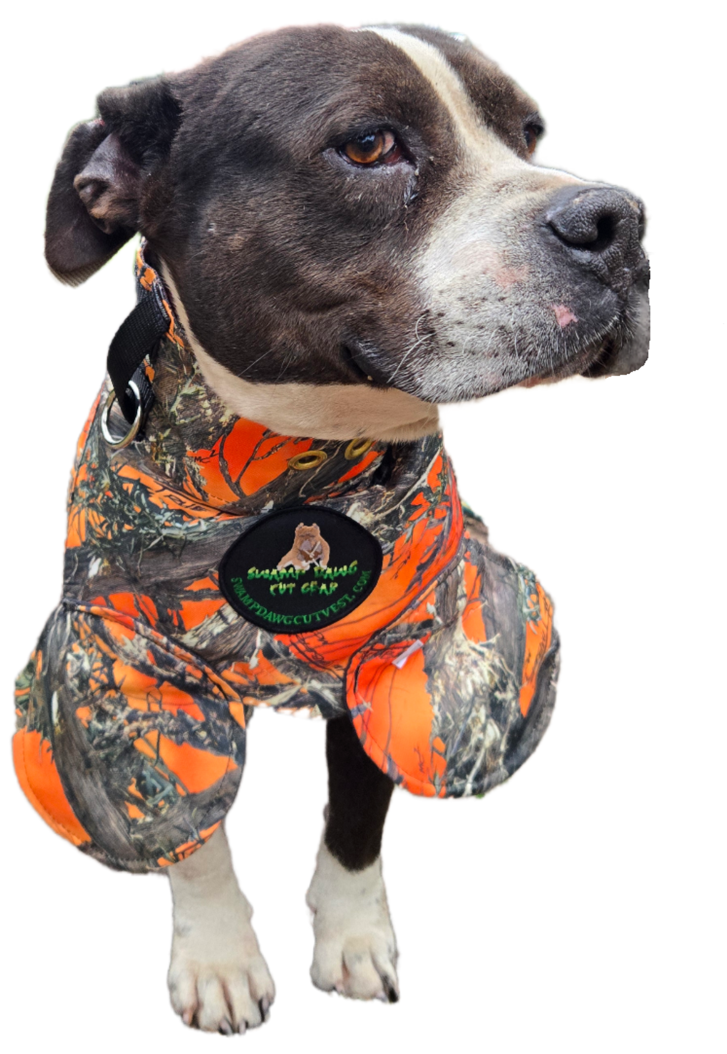 Bikini Catch Vest with Leg Flaps by Swamp Dawg