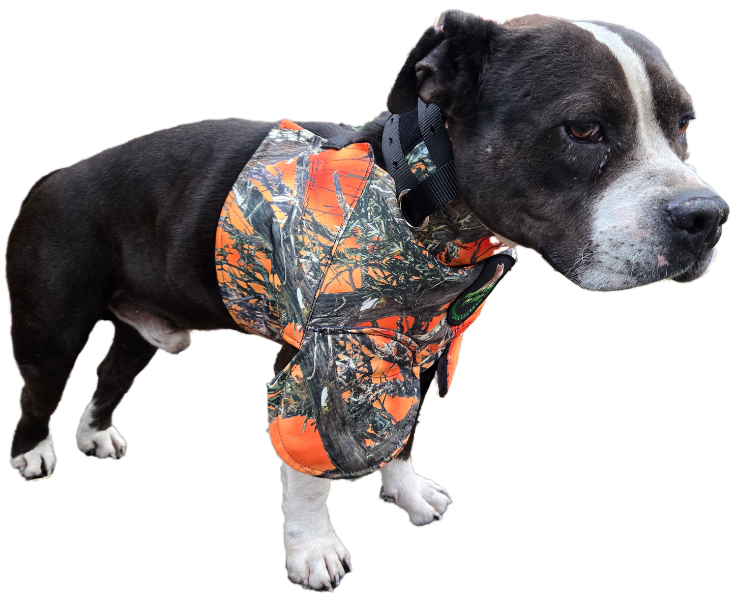 Bikini Catch Vest with Leg Flaps by Swamp Dawg