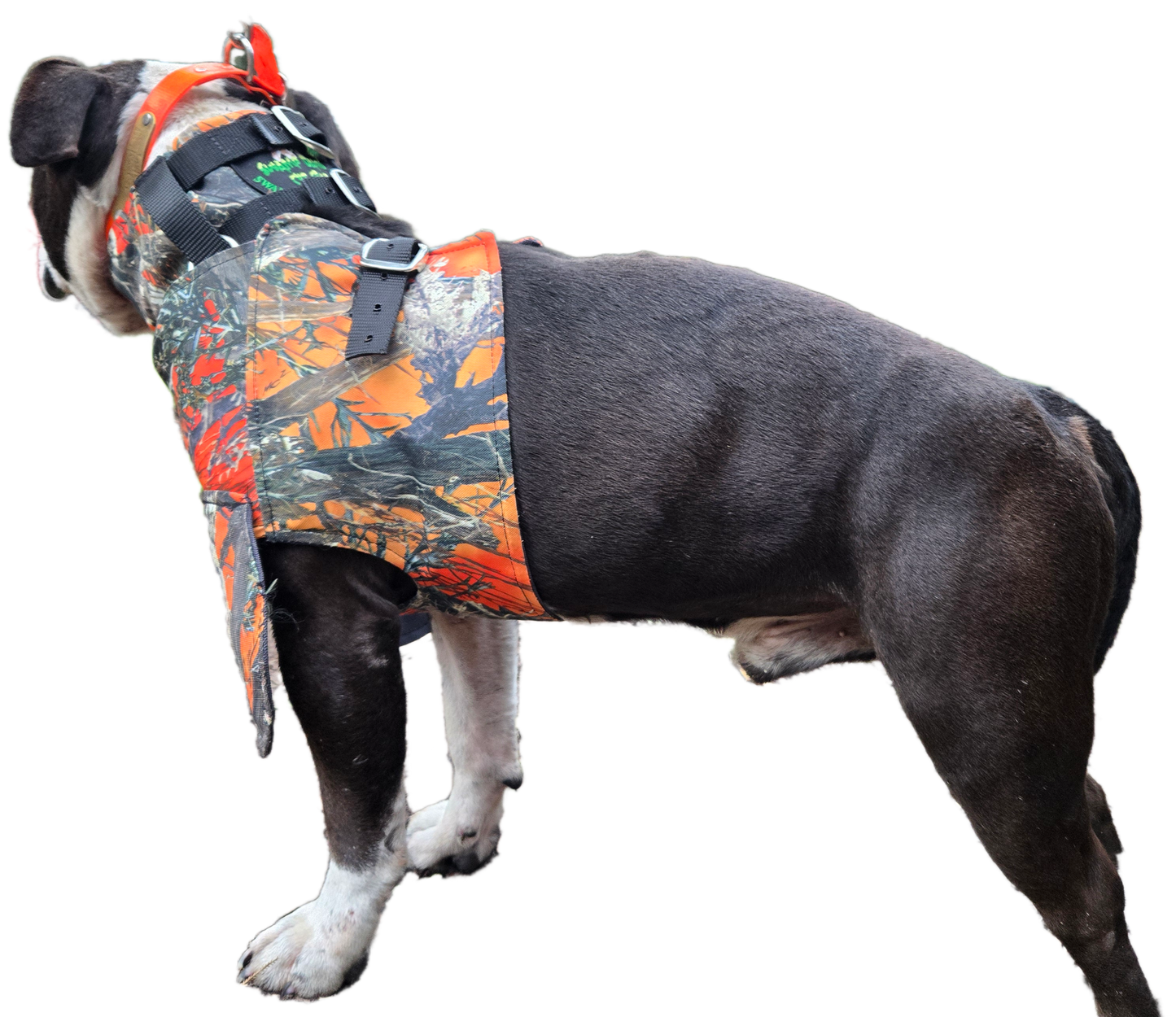 Bikini Catch Vest with Leg Flaps by Swamp Dawg