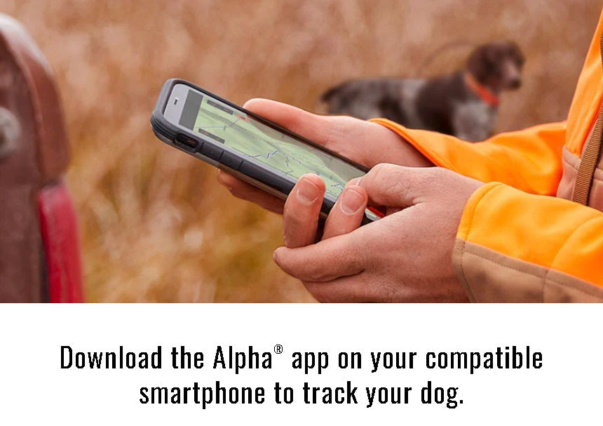 Garmin Alpha LTE