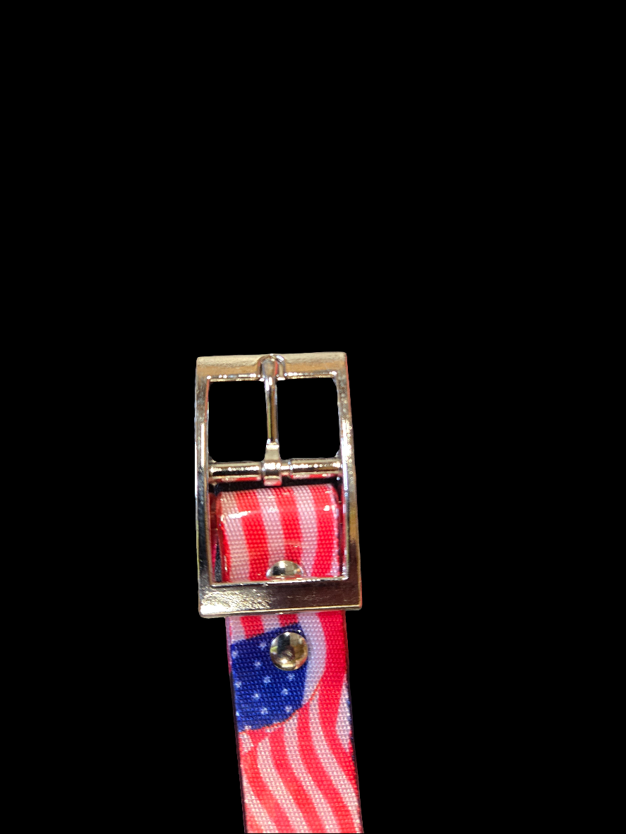 American Flag Dayglo Collars