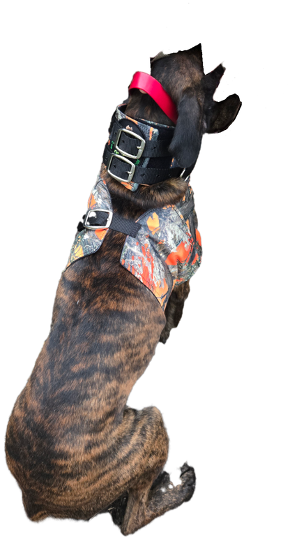 Bikini Bay Vest by Swamp Dawg Cut Gear