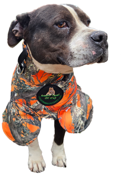 Bikini Catch Vest with Leg Flaps by Swamp Dawg