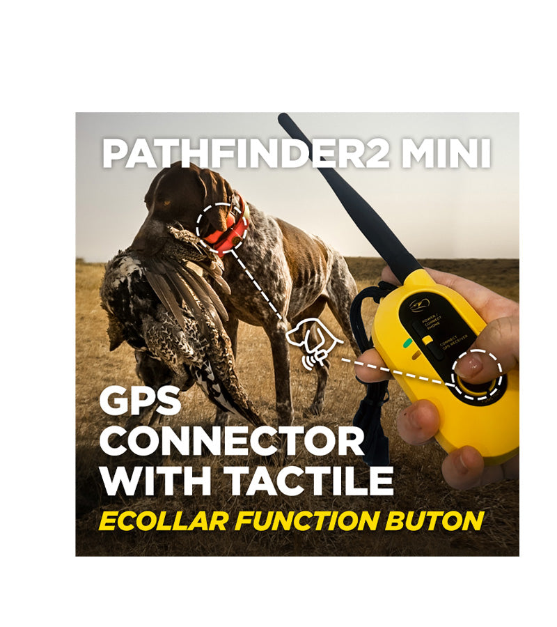 PATHFINDER2 MINI