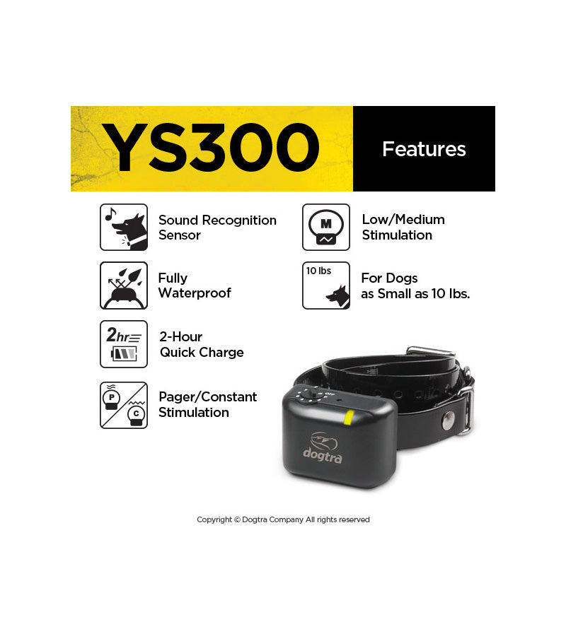 YS300