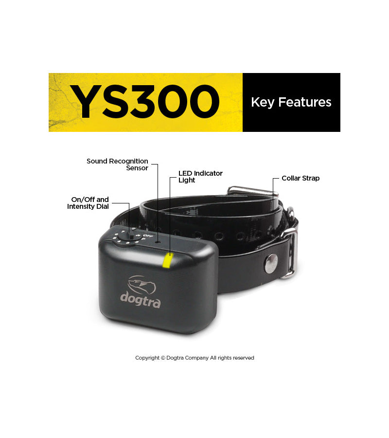 YS300