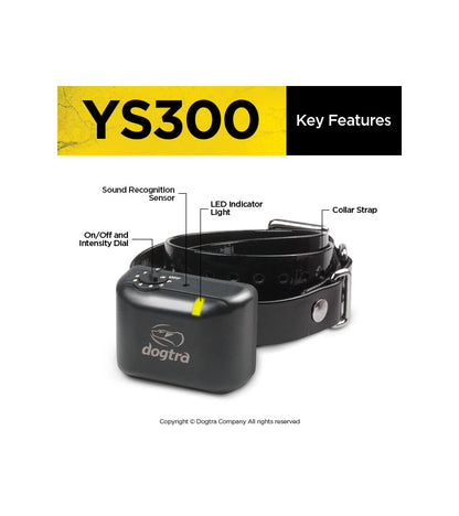 YS300