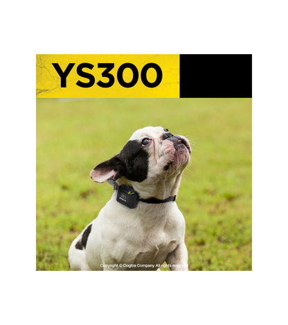 YS300