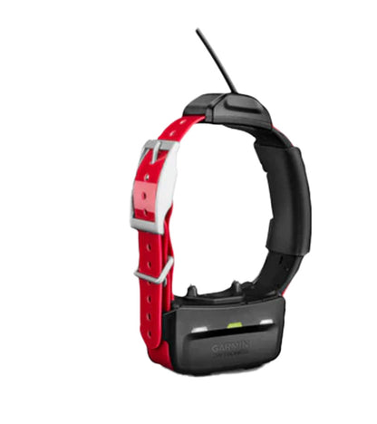 Garmin TT15 X Collar