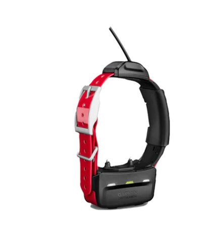 Garmin TT15 X Collar